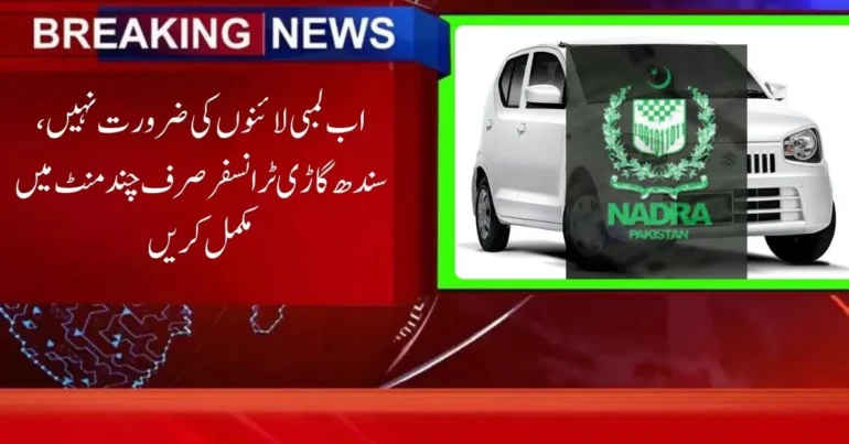 Sindh Vehicle Biometric Verification